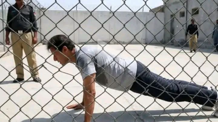 Fatima PTI tweet media