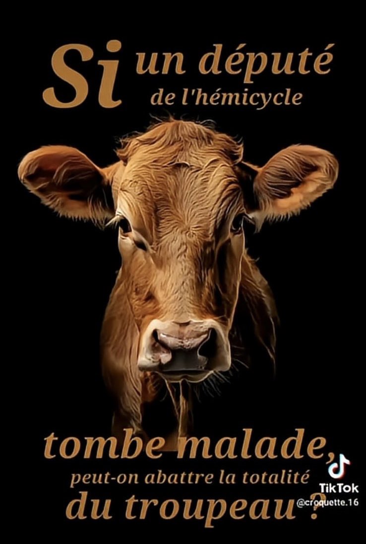 DUBOIS Claire (@clairedubois30) on Twitter photo 