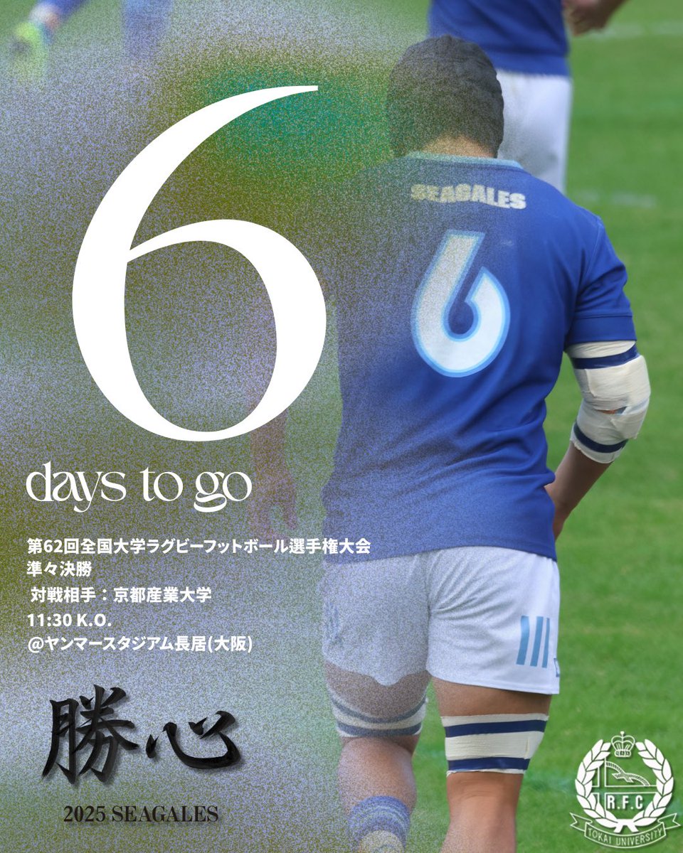 第62回全国大学ラグビーフットボール選手権大会 準々決勝まで あと 6日