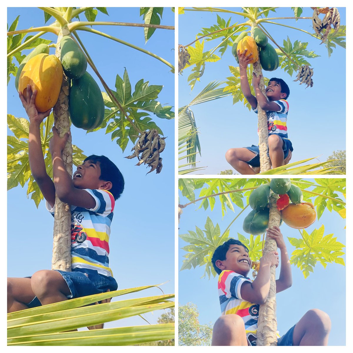 మా వ్యవసాయ క్షేత్రంలో జాలిగా 

Little son vedansh Yadav Dudimetla 
<a href="/dudimetlaraji/">Dr. Rajeshwari Dudimetla</a>