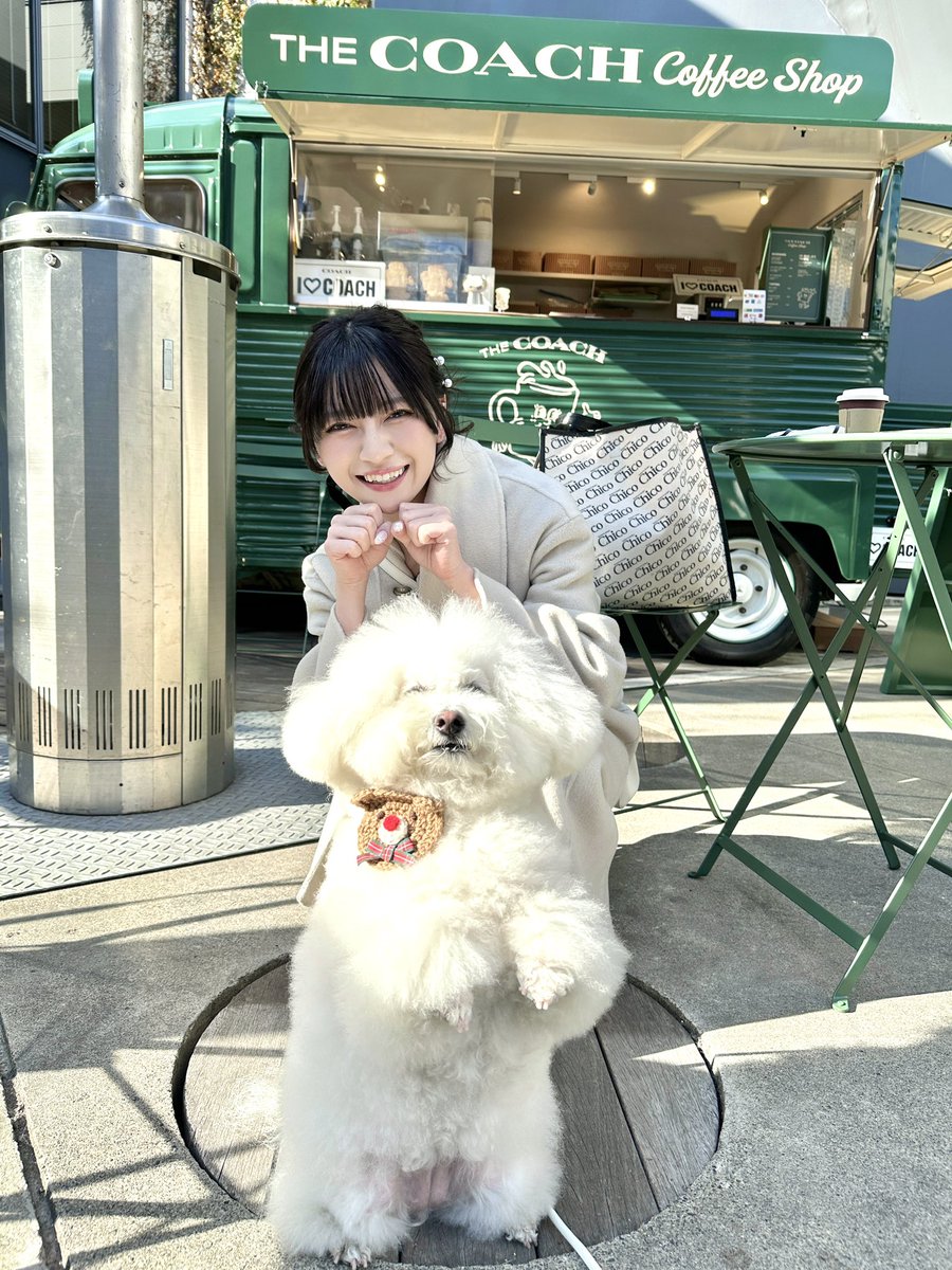 tws_nanase's tweet photo. ヘッダーのわんこ…🐶🫶🏻 https://t.co/V2UwQhToXy