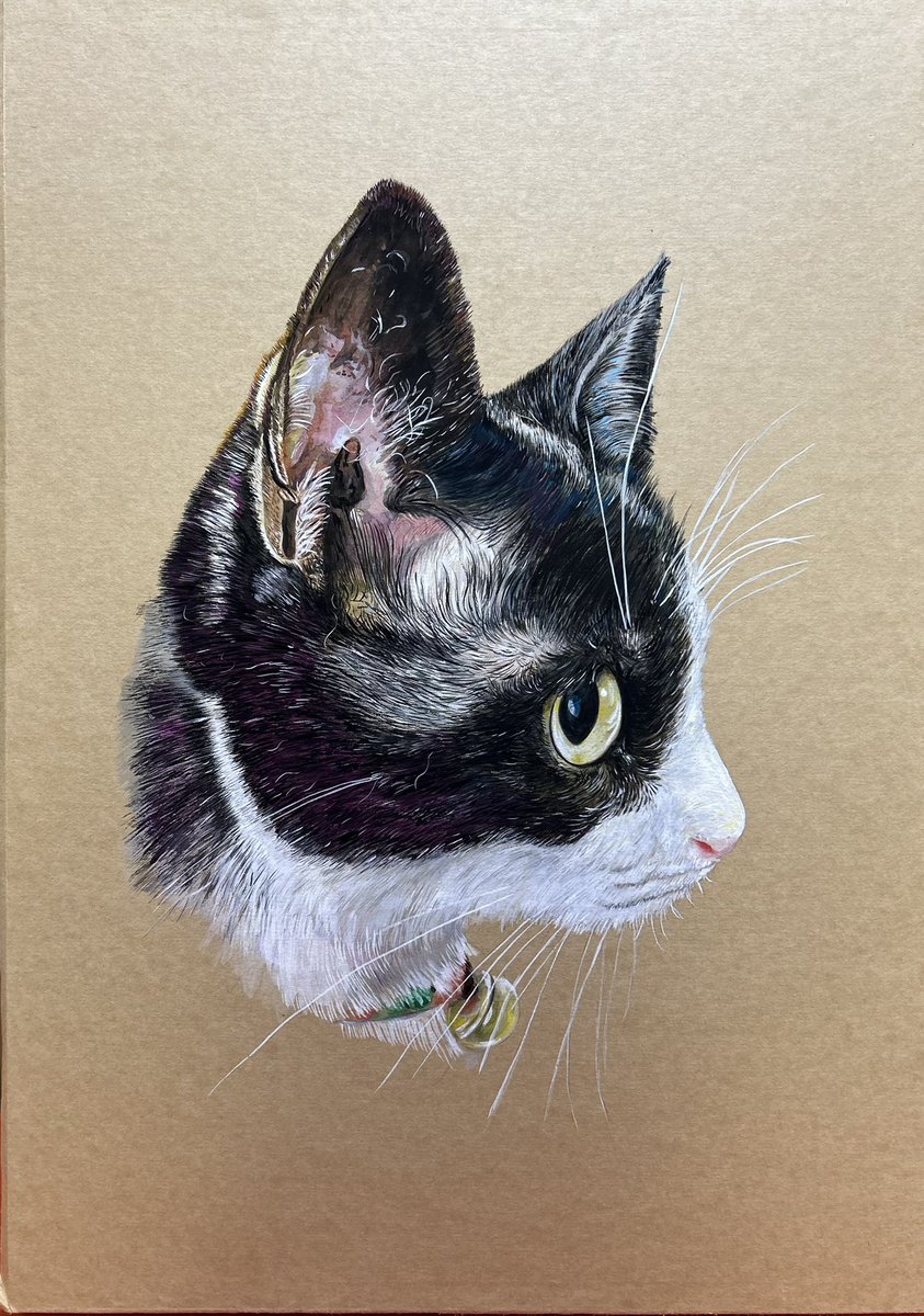 色鉛筆画 A4 ハチワレ猫127 色鉛筆画 A4 ハチワレ猫127 色鉛筆画 猫 – 絵画や壁飾り販売｜風景