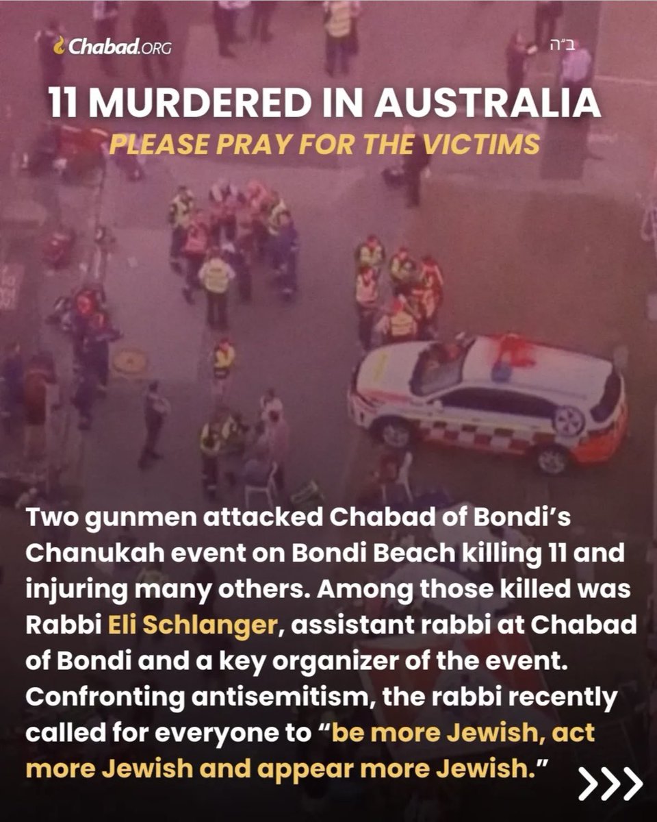 Netanel Crispe tweet media