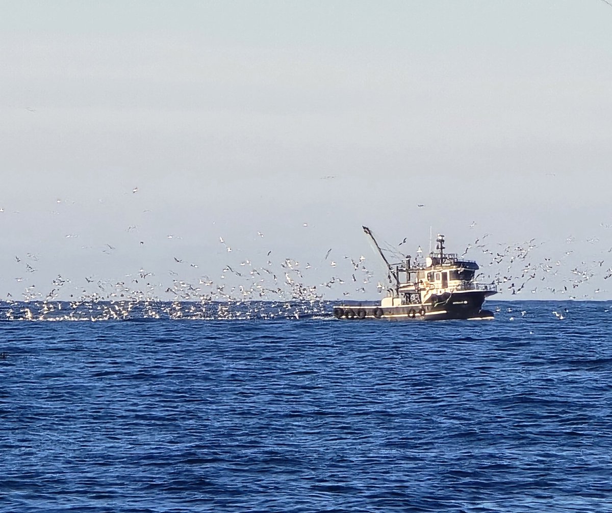 Ali (@kulus_turcu) on Twitter photo 