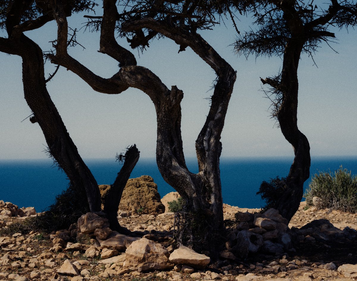 Jonathan Bertin tweet media