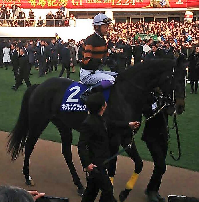 大阪杯 天皇賞・春 凱旋門賞 有馬記念 とG14勝追加したロイヤル