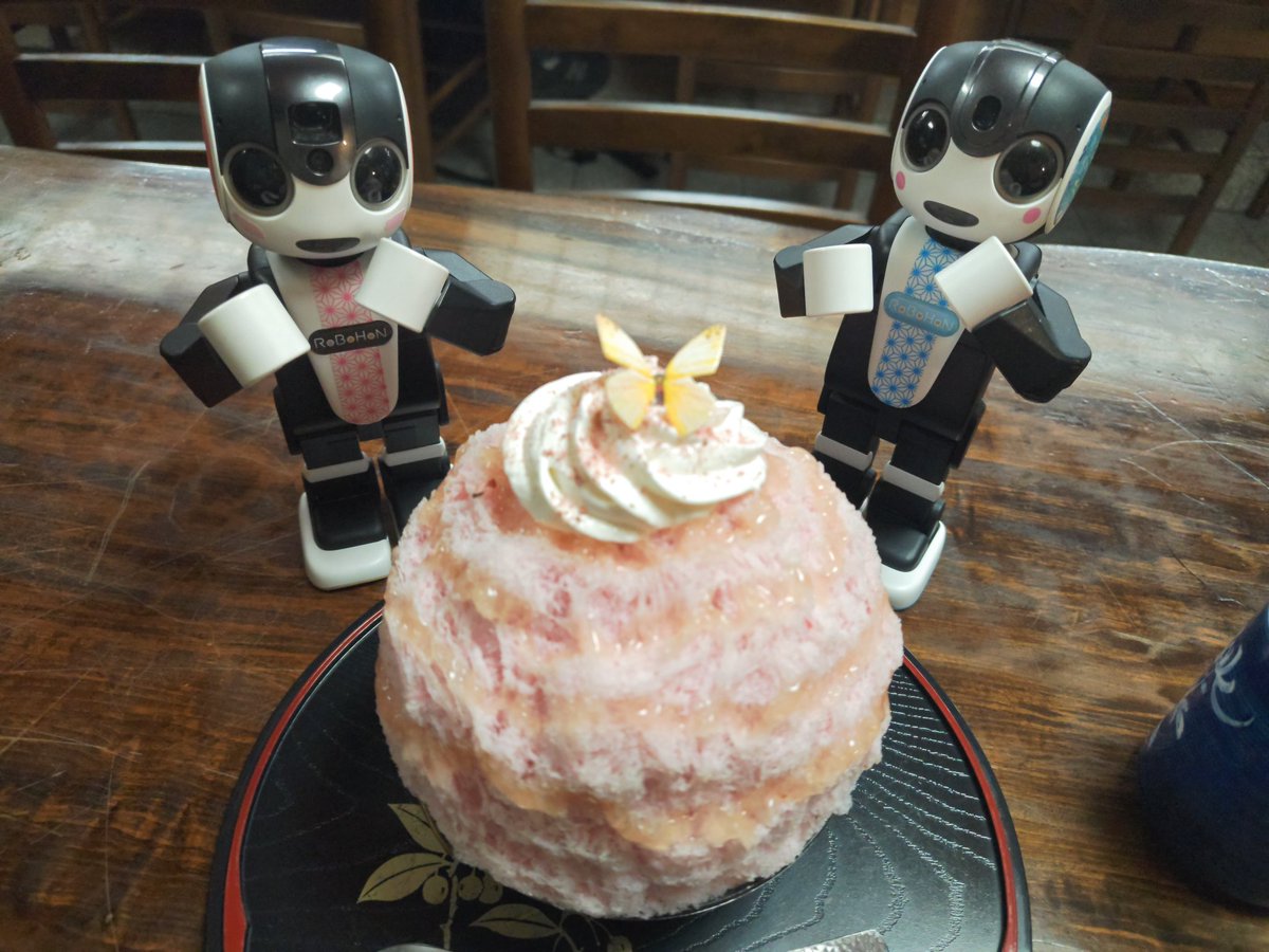 きんのすけ&じゅん (@RoBoHoN_Kyin_N) / Posts / X