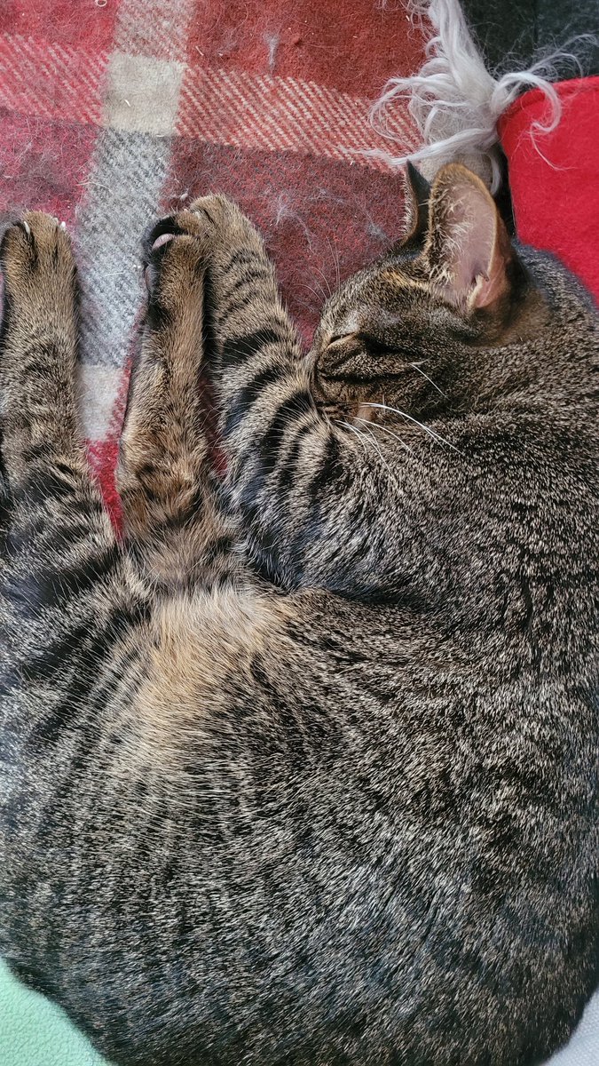 Bon dimanche les popains