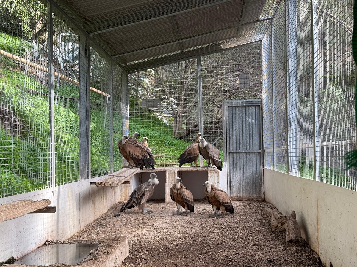 🌳La <a href="/AndaluciaJunta/">Junta de Andalucía</a> destina 6,3 millones de euros desde 2019 para la conservación y protección del Parque Natural Montes de Málaga.

🛟<a href="/LinaGarcia_AND/">Catalina García</a> conoce el Centro de Recuperación de Especies Amenazadas ‘El Boticario’.

🔗opgob.es/c6l2j