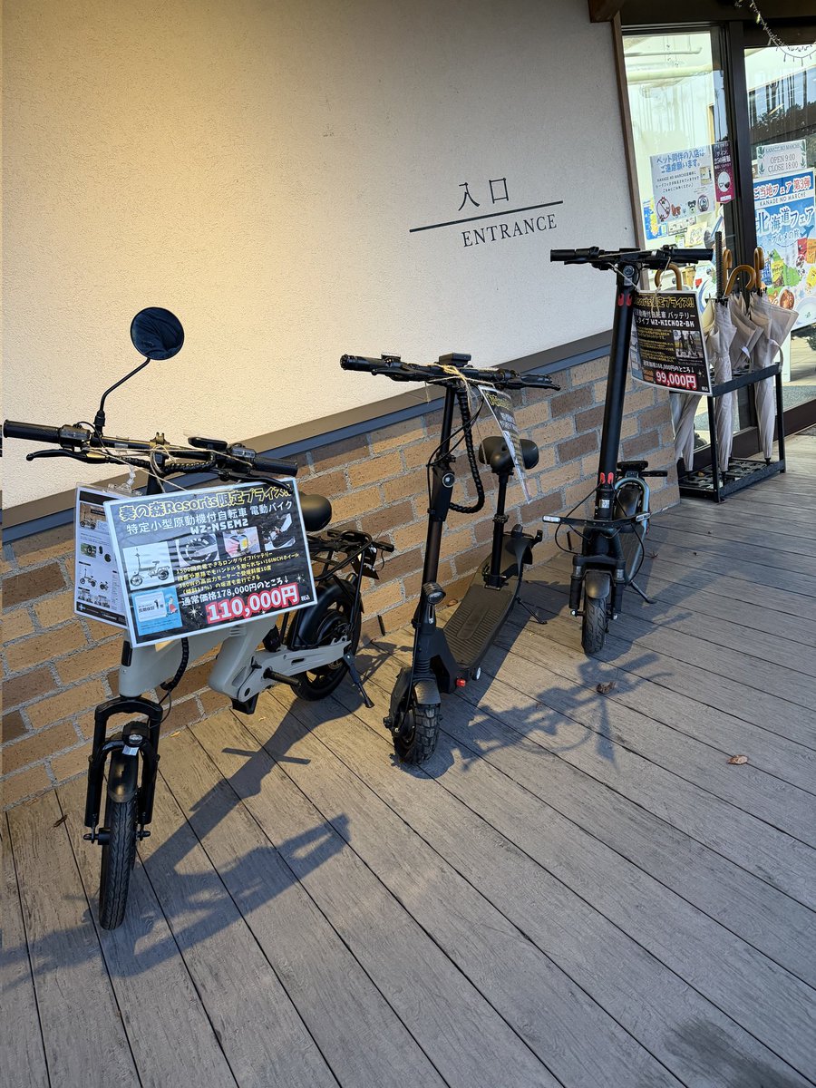 ここにもいなかったっけ…🤔