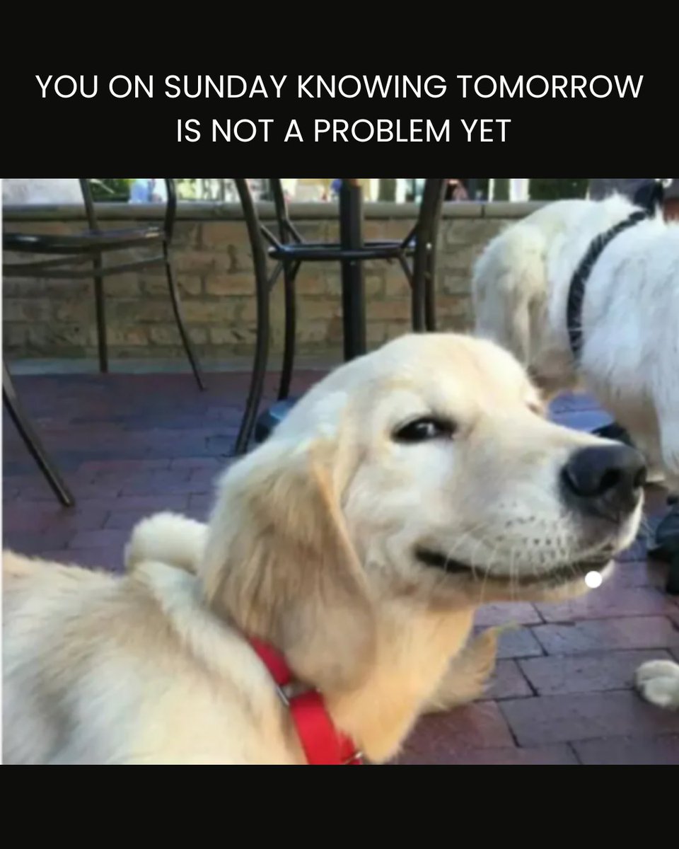 Player One Coffee tweet media