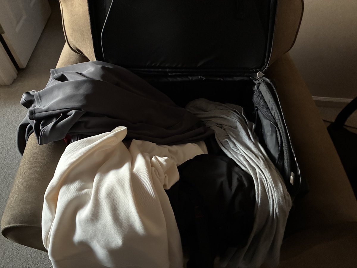 SeizureSalad 🧠 tweet media