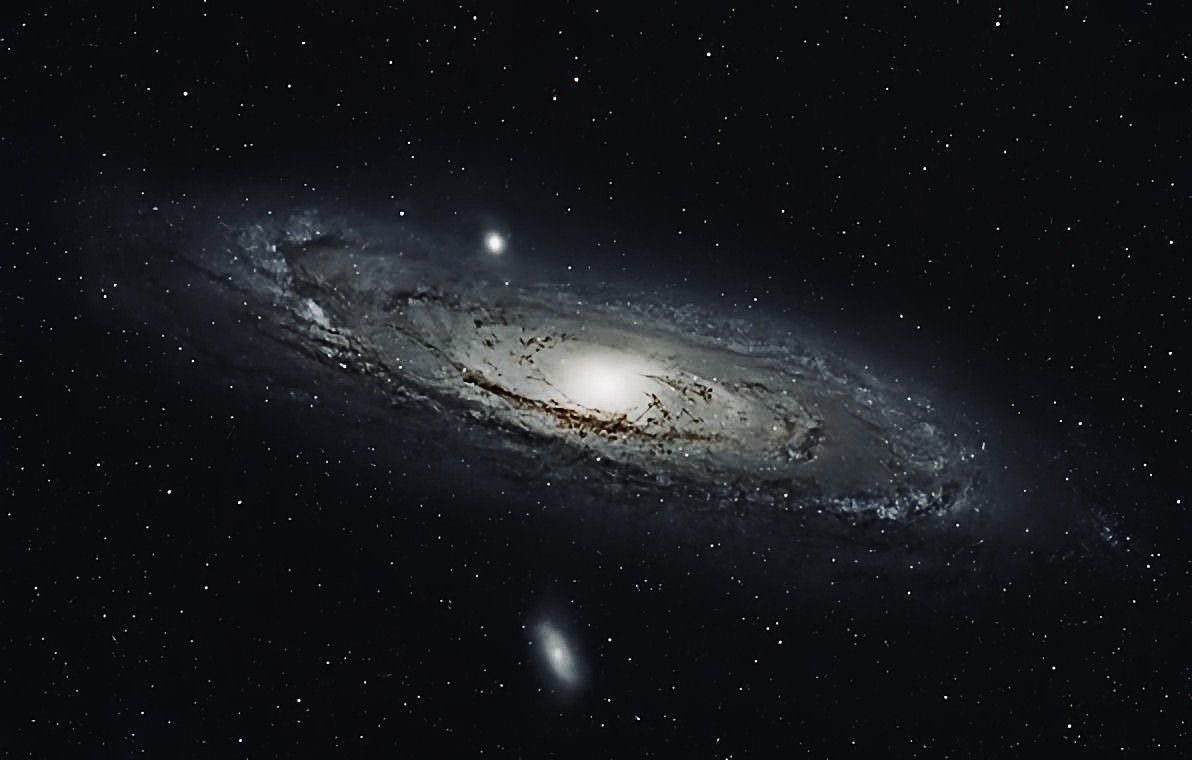 Stargirl (@det_ii) on Twitter photo 