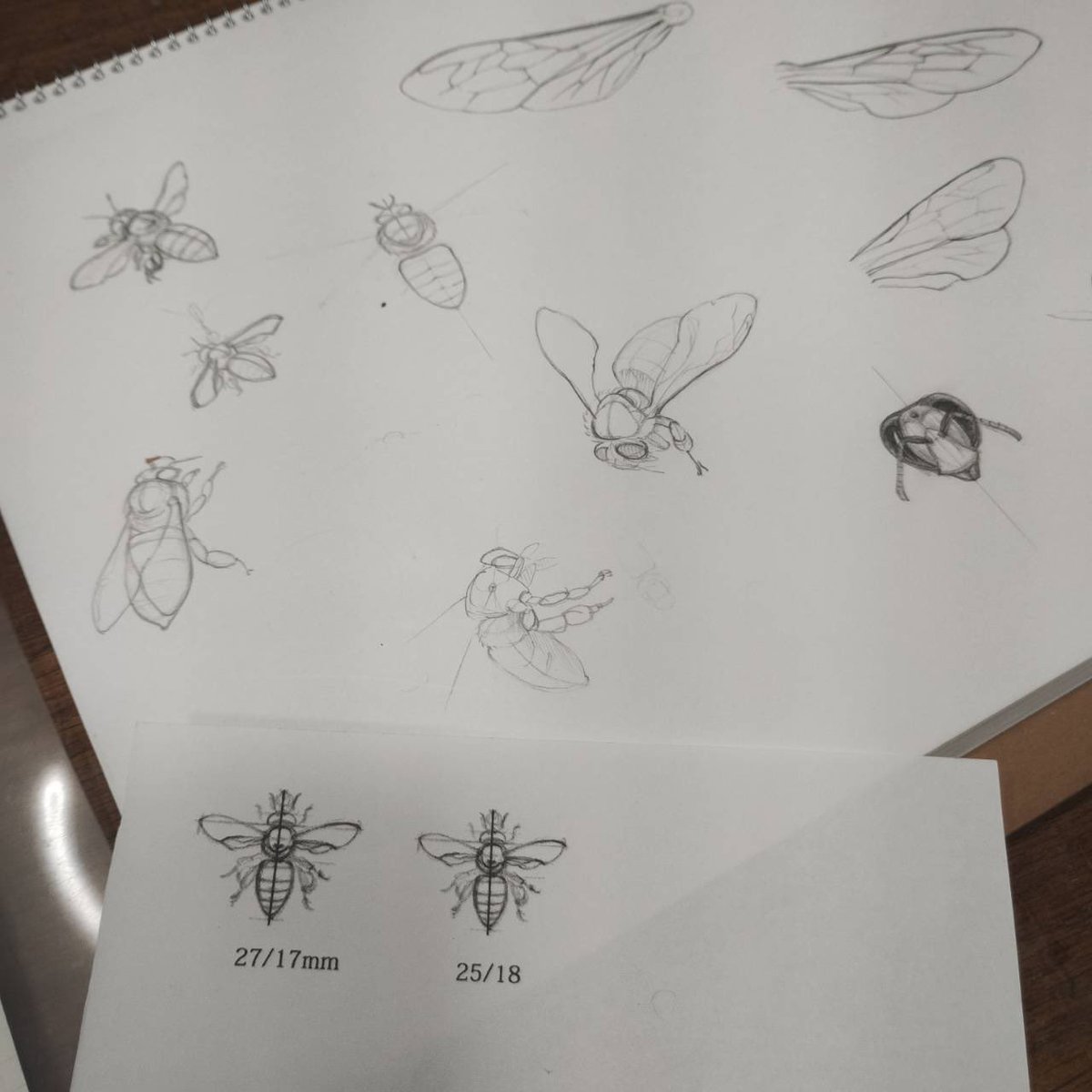 ノロ【くろねこノロのたび】 tweet media