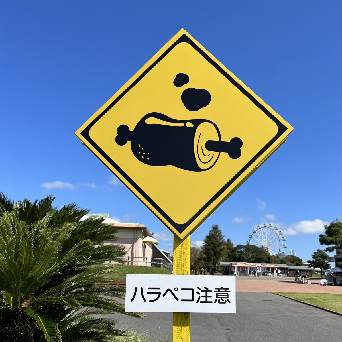 モモ (@momocolory) on X