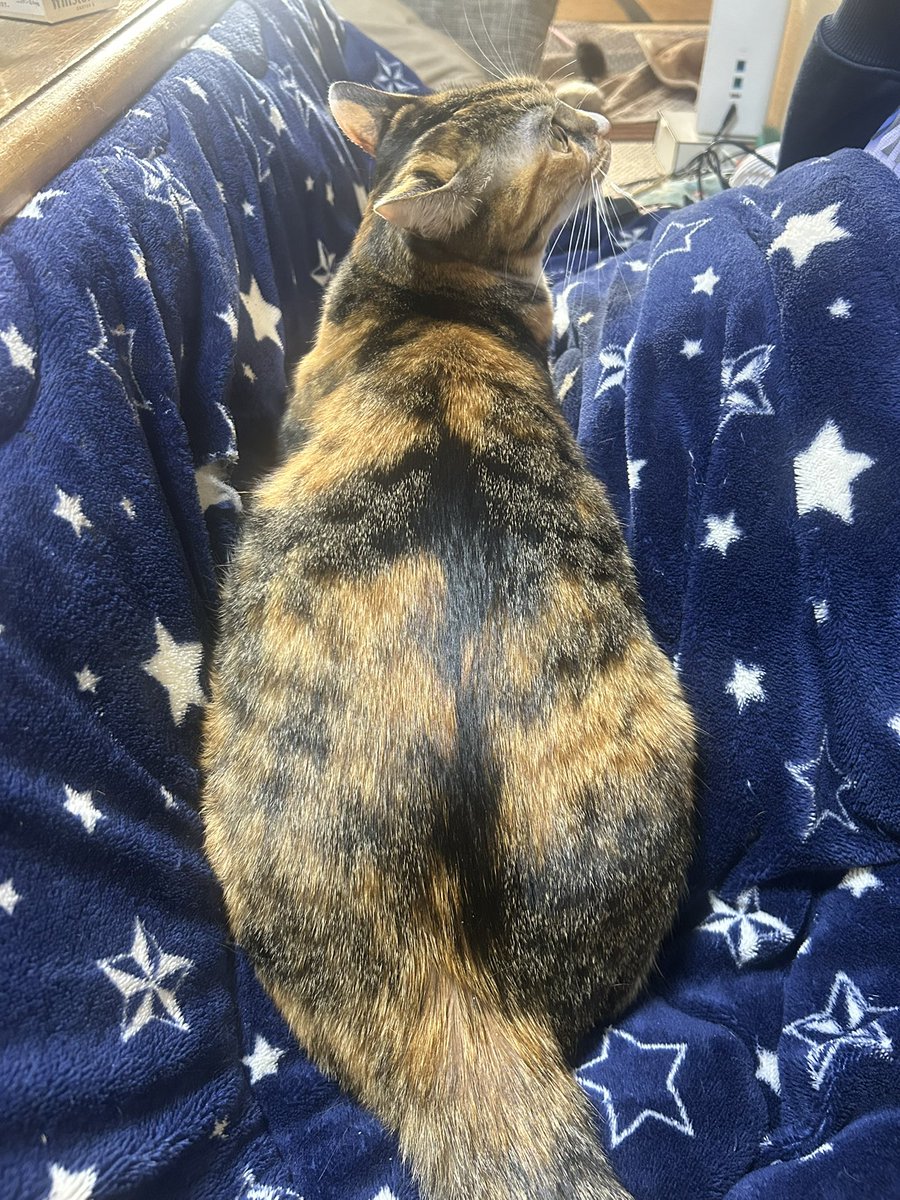 紫音 (@1116_shisui) / Posts / X