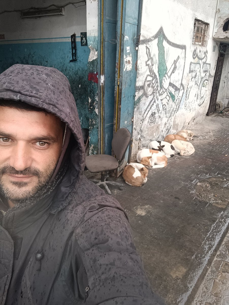 Hishamsousi's tweet photo. "Every day we struggle to provide food and medicine for each stray dog ๐ถ
Supplies are running out fast, and the cold rain shows no mercy ๐ง๐
Your support can truly make a difference ๐
๐https://t.co/mlZdDKB7Wk ๐พ
๐๏ธ๐พโค๏ธโ๐ฉน๐๐ซ
#Donate #HelpStrays #SaveTheDogs" https://t.co/42TAuFbnU0
