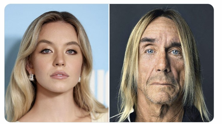 naiivememe's tweet image. BTC $90,000                            BTC $90,000
in 2024                                    in 2025