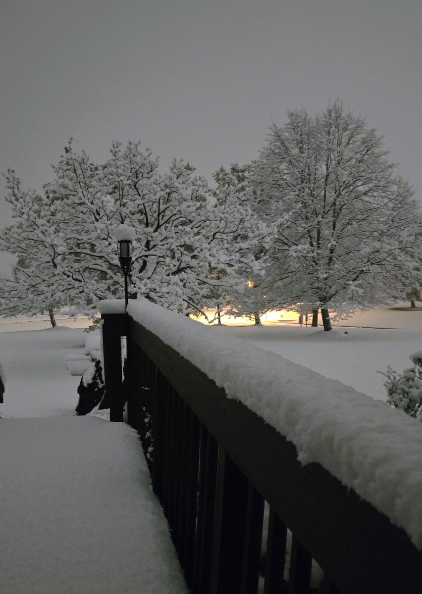 News12NJ tweet media