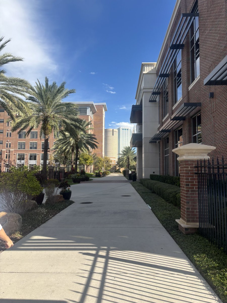 Kitt_Testa28's tweet image. Thank you @UTampaSoftball for running a great camp!! I cannot wait to be back, I had a great time and the campus is beautiful! @CoachNeubauer_6 #2028grad #softball @LadyDukes_Razo @LDukesAntuono @LadyCardsb