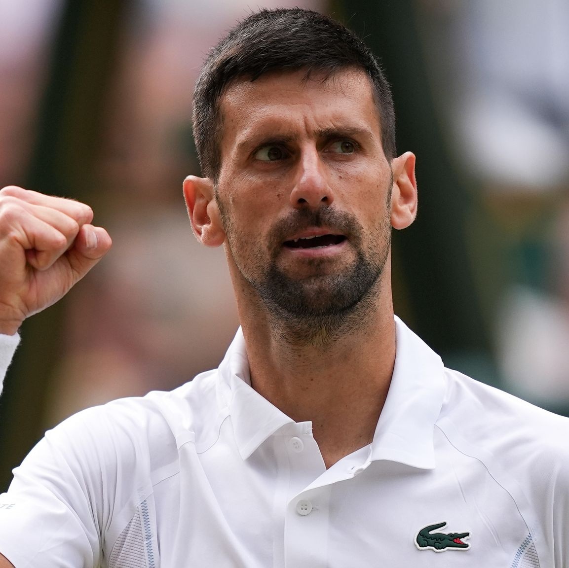 Capitán Bitcoin tweet media