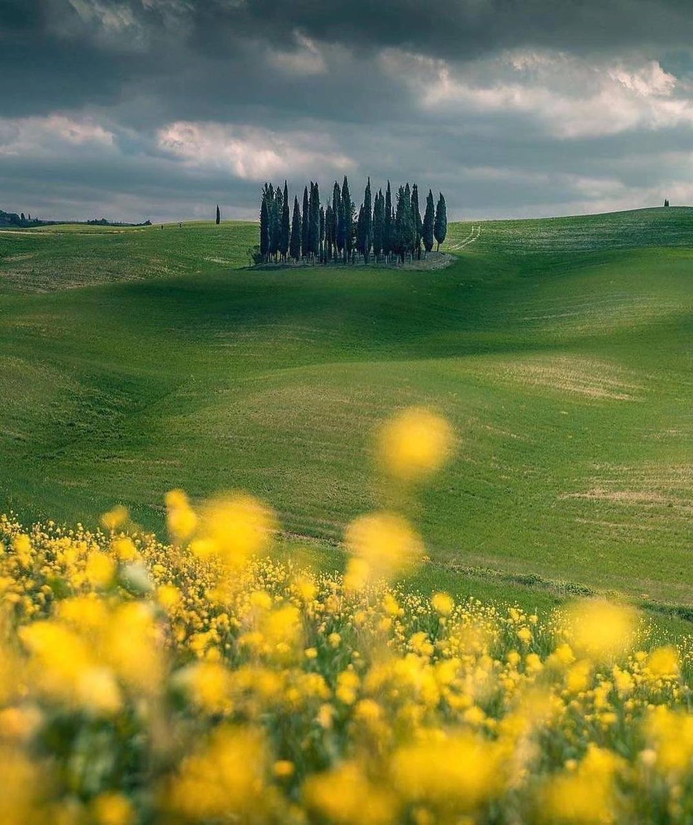 KBrobots's tweet image. 