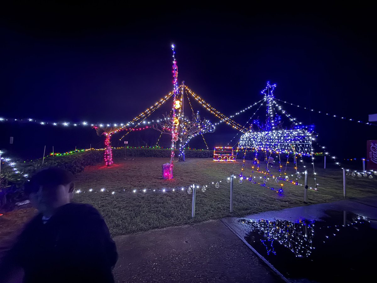 南大東島の最初イルミネーションは新東集会所です。なんもないと侮るなかれ。新東のイルミネーションは島1番です！（私の中では世界一！）