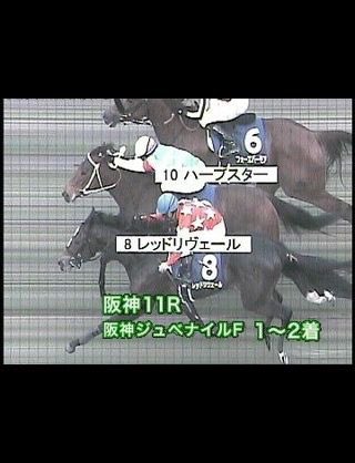 oriental beauty (@Kw15robby) / Posts / X