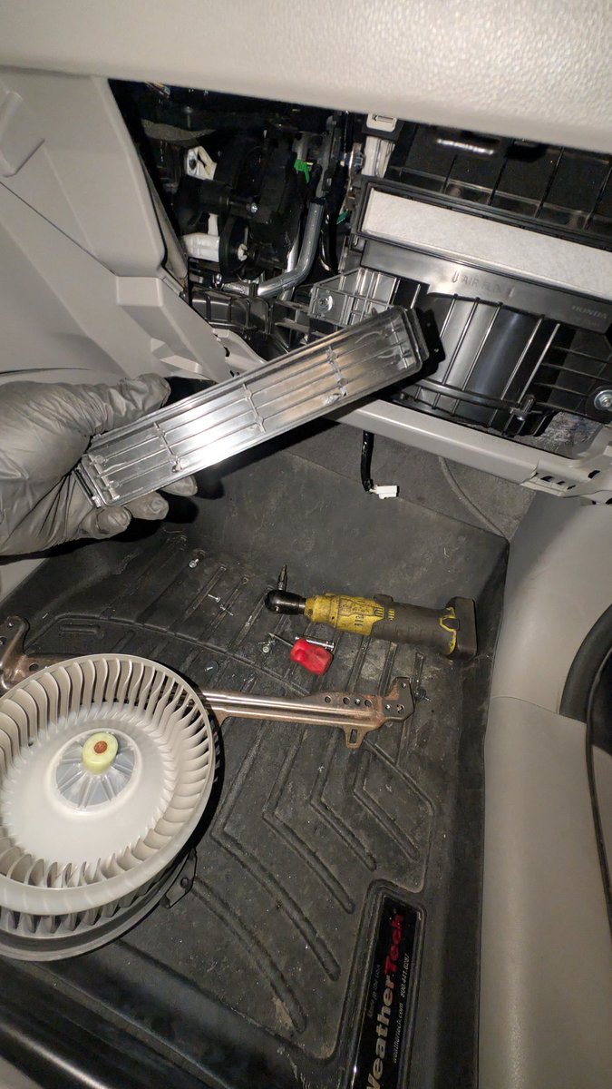 Customer complaint: My blower motor is loud and I don't have a lot of air coming out of the vents. 

Well aside from your blower motor being toasted from debris. The cabin filter door wasn't attached. 

Probably because it fits a Toyota and not this Honda. How did it get here? 🤣