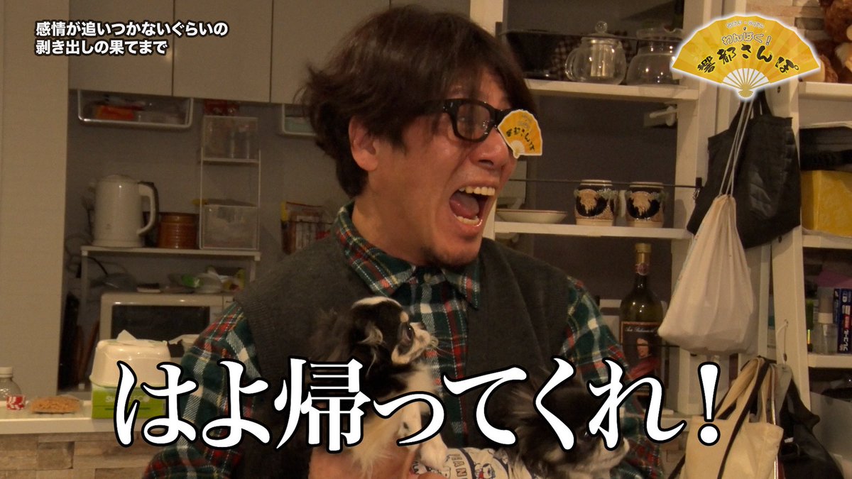 寿司くん tweet media