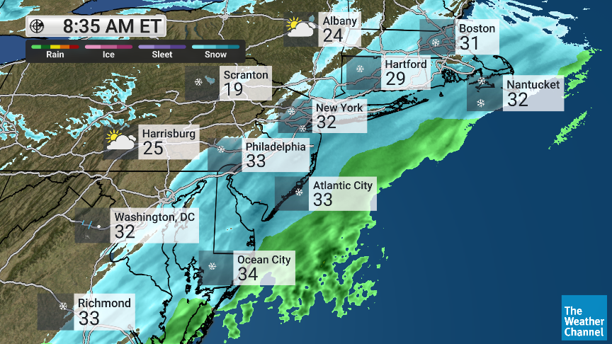 Veronica Dolan tweet media