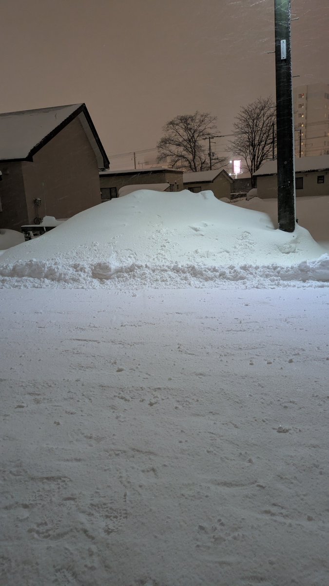 本日３回目の雪かき終了
汗だくだ (-"-;

明日何時に起きようか…(;´_ゝ`)
