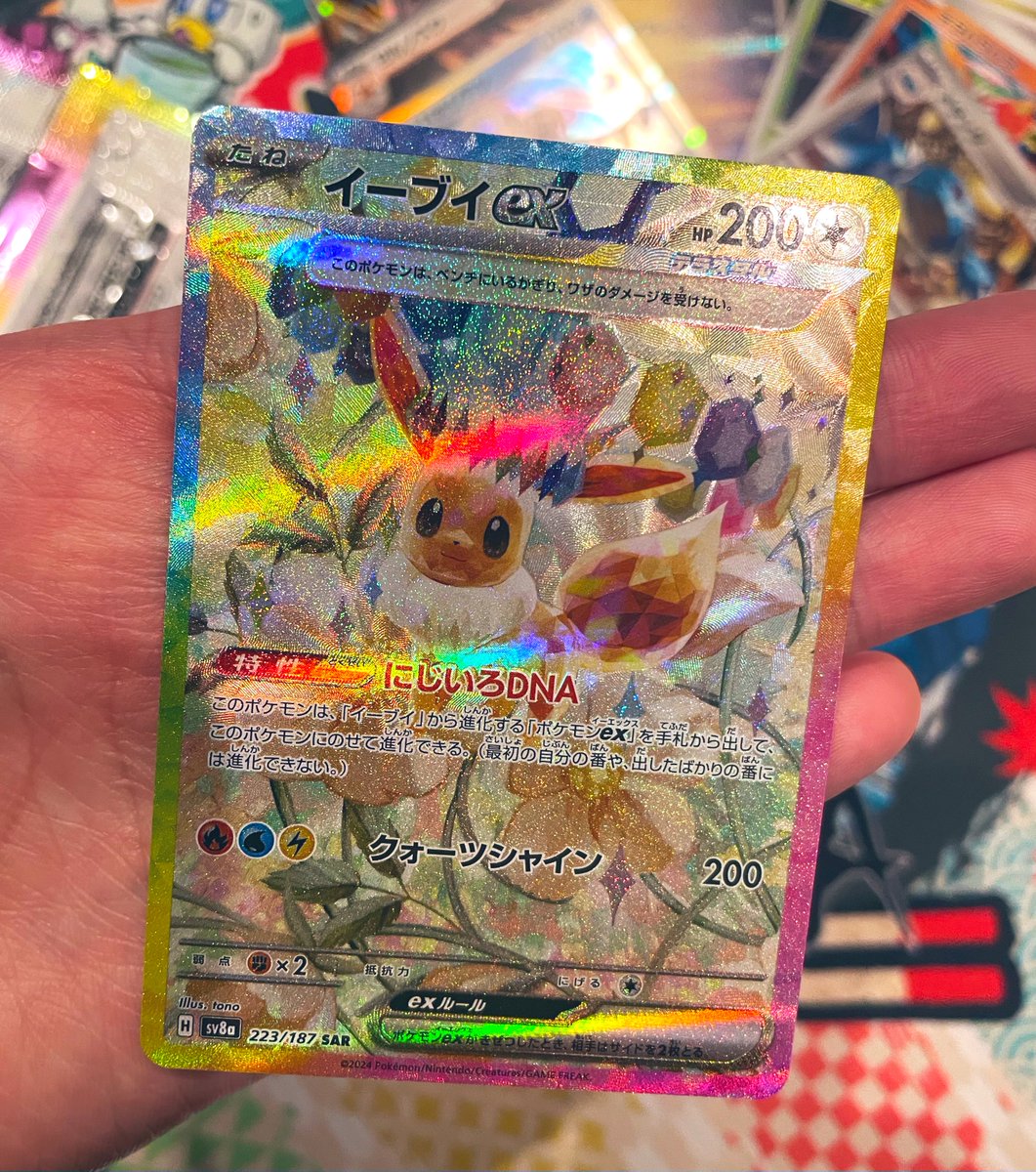 イーブイちゃんでした〜😂