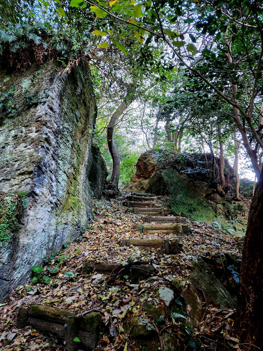 いもむしc(.(.(.(.(@･ω･) tweet media