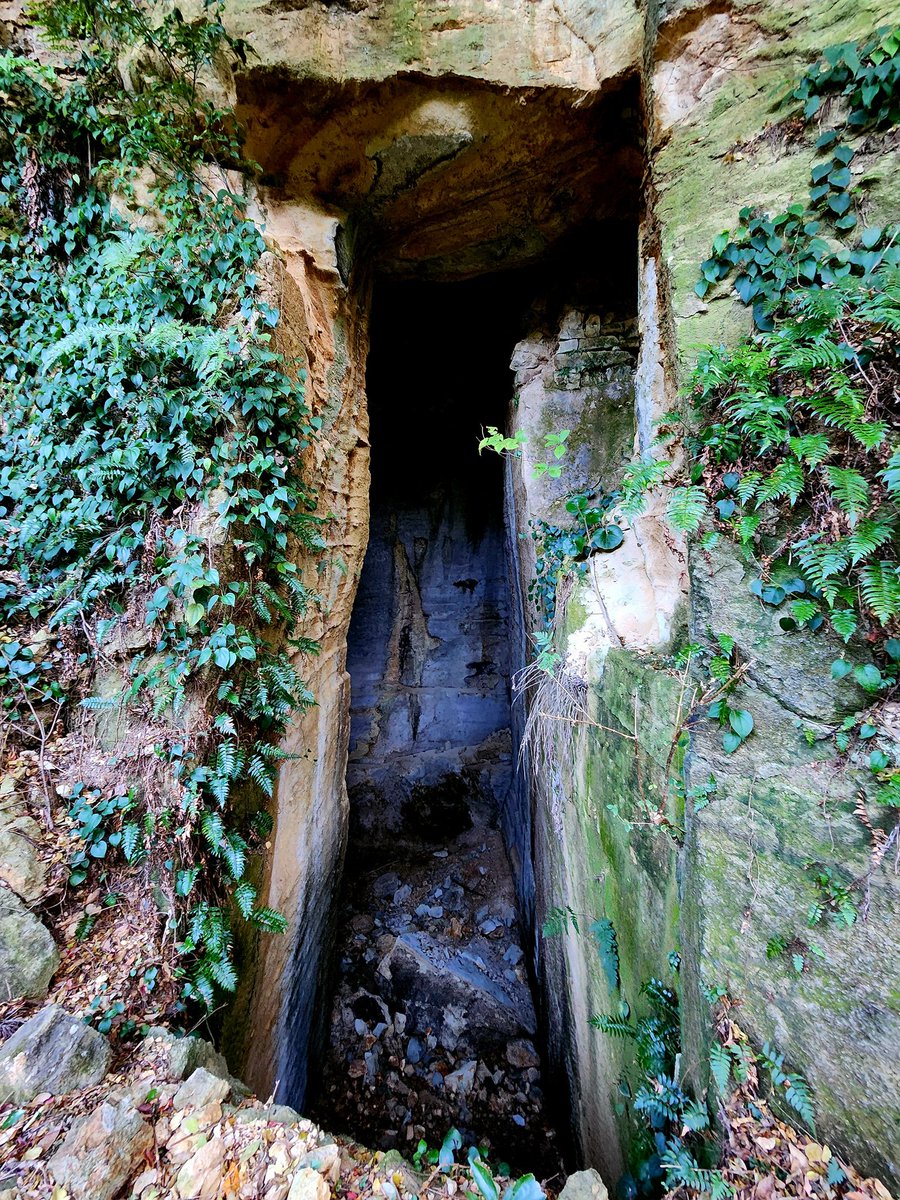 いもむしc(.(.(.(.(@･ω･) tweet media