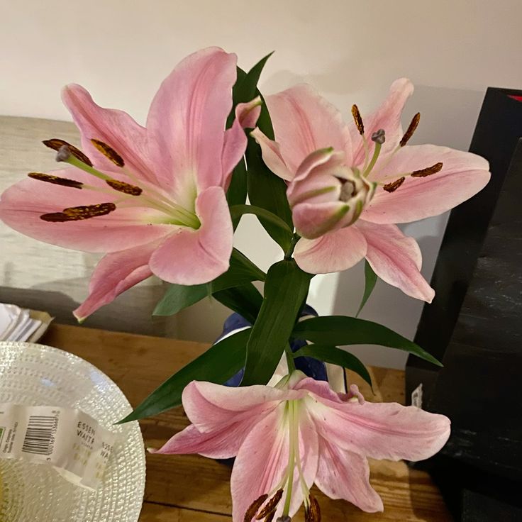 chaarpaai's tweet image. 