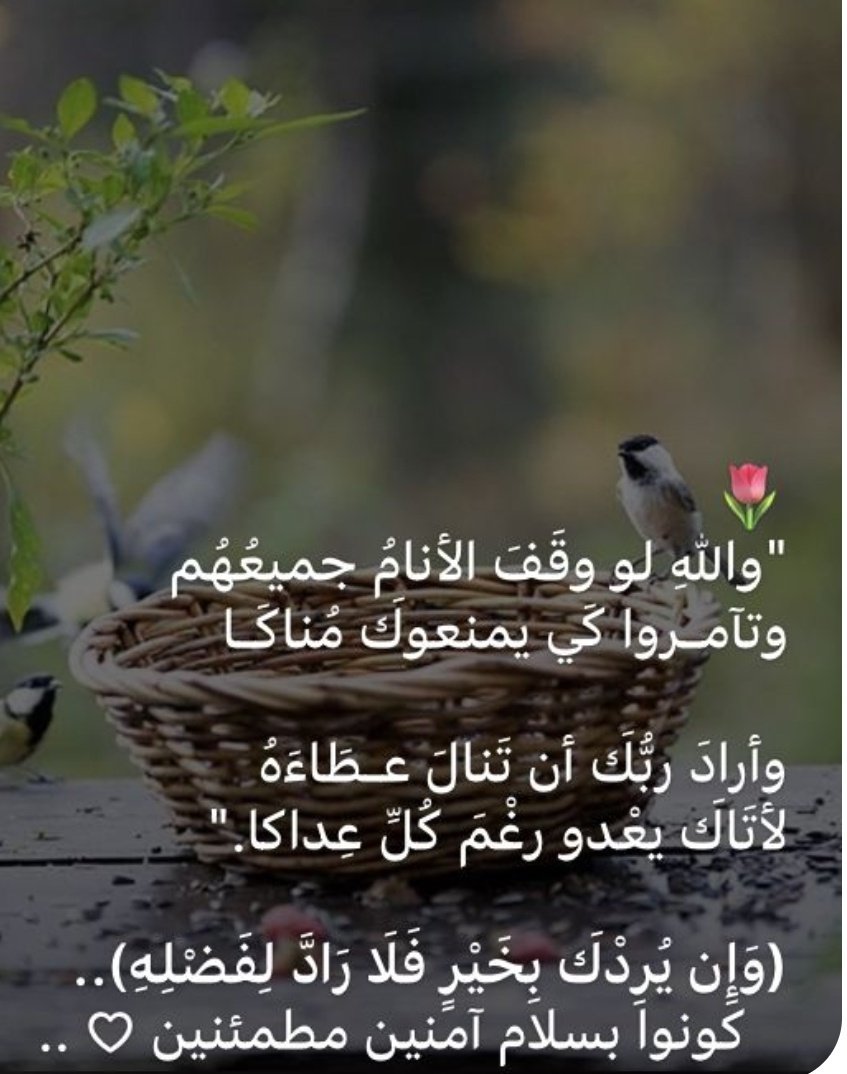 مروري على القمة ضمن خطة المشوار 
و الحلم الحقيقي يبتدي من ورى القمة*
#مساء_الخــير