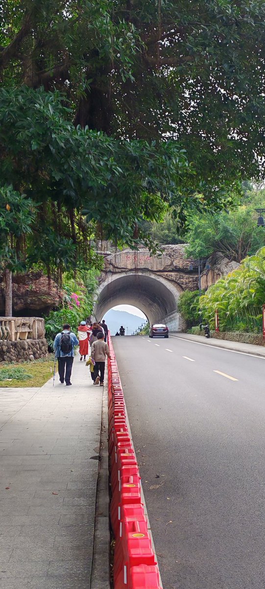 Yes_Ooops's tweet image. 从你的全世界路过。