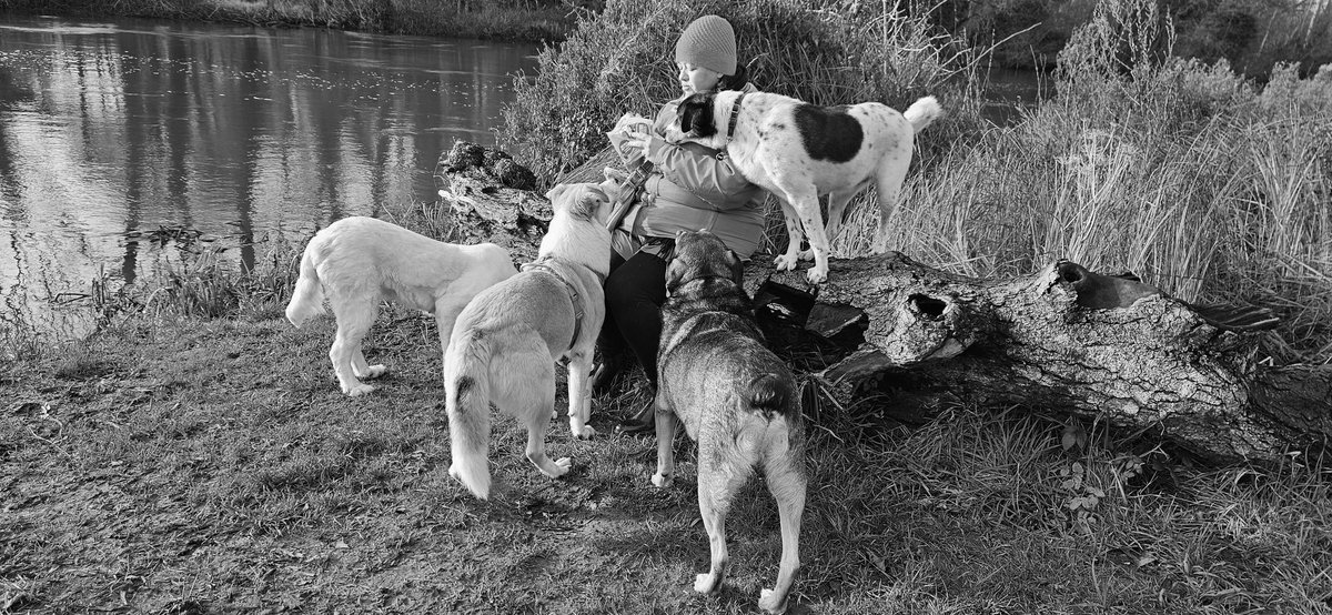 Ciocia, sepy i sniadanie nad rzeka. #CiastowyGang