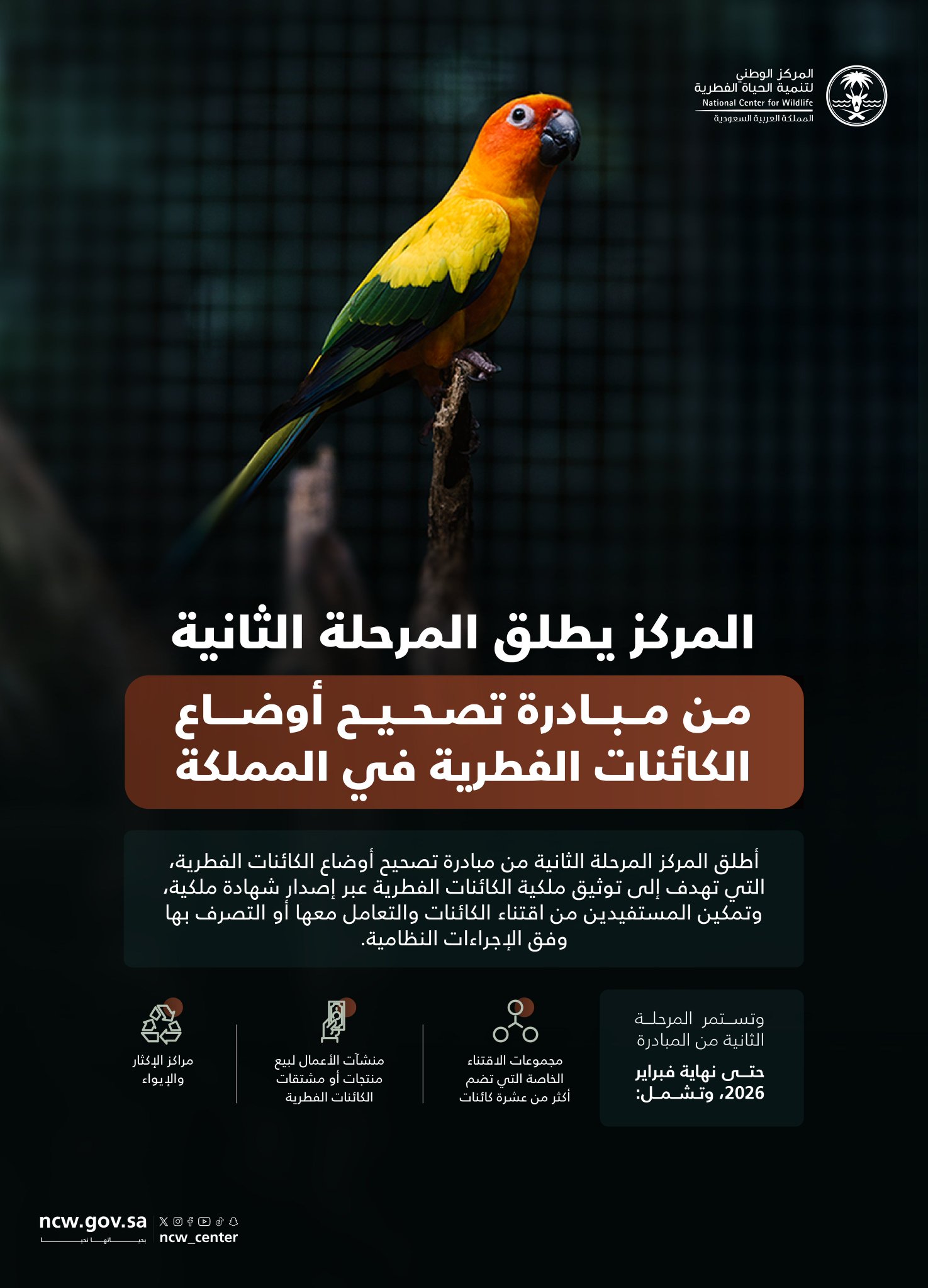 "الحياة الفطرية" تعلن بدء المرحلة الثانية من تصحيح أوضاع الكائنات غير المرخصة #معكم_باللحظة 