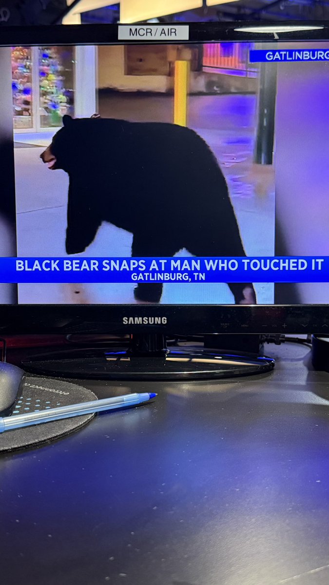 Bro just trying to get to aloha showdown wym