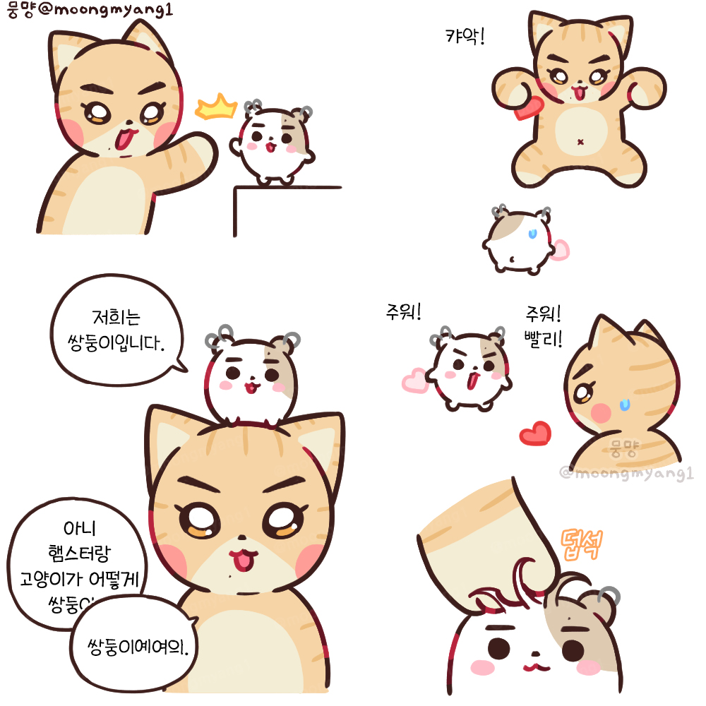 쌍둥이즈