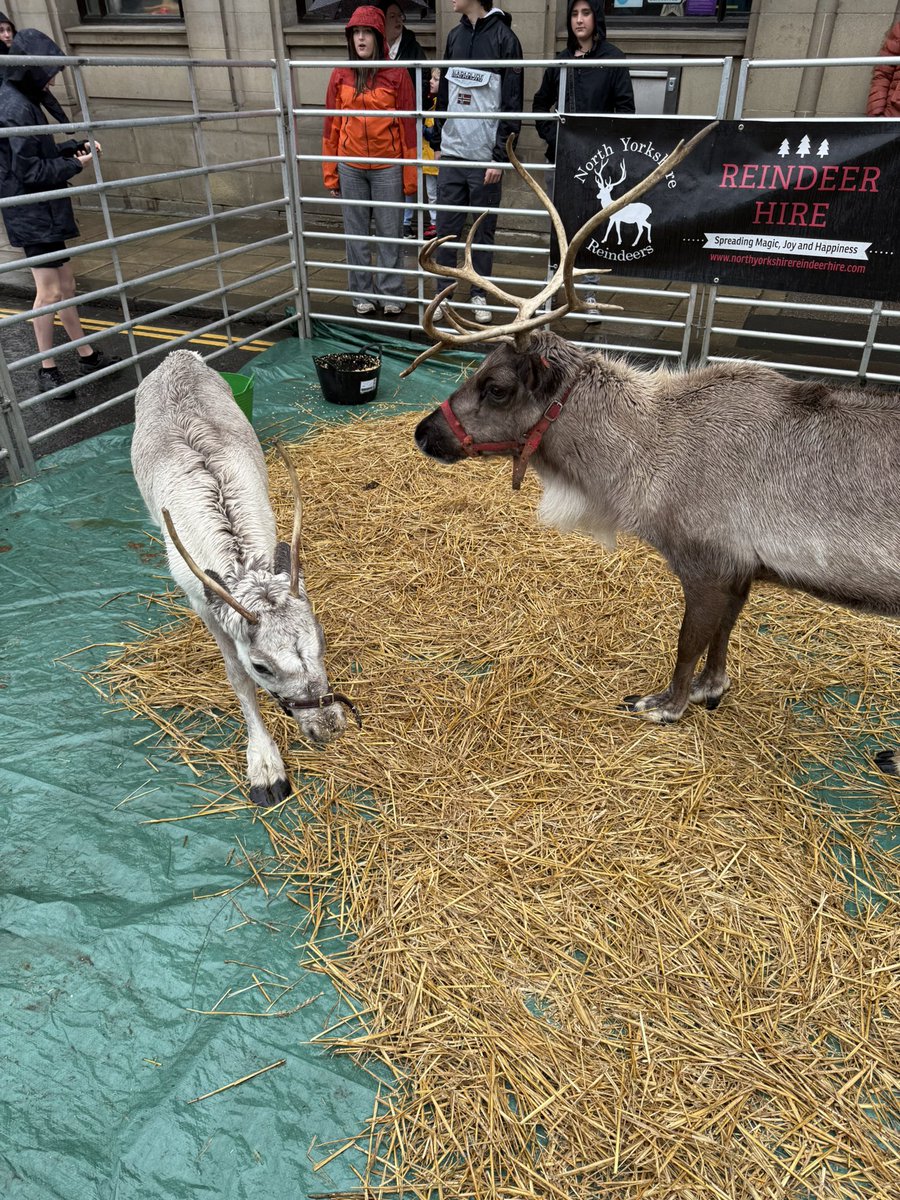 Skipton Christmas markets!!