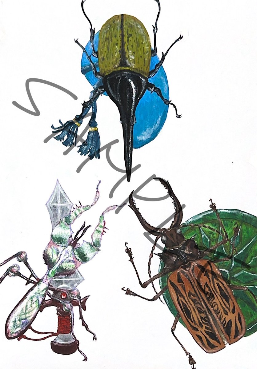 蝉P🦋蟲神器公認サポーター(ID:1164) tweet media