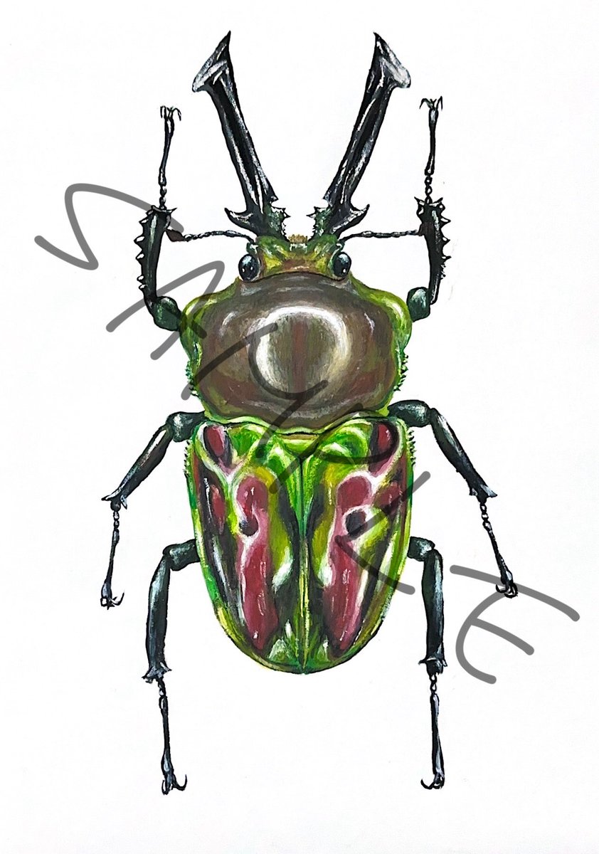 蝉P🦋蟲神器公認サポーター(ID:1164) tweet media