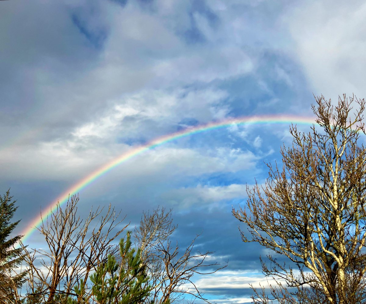cloudymamma's tweet image. Sunshine and Rainbows Sunday afternoon 

But oh so mild for mid December

Inverness 
Scotland 🏴󠁧󠁢󠁳󠁣󠁴󠁿

#LoveUkWeather #Rainbows #MetOffice
