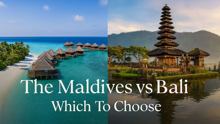 NDTVFood's tweet photo. Maldives vs Bali: Which Is A Better Pick For Warm Winter Beach Holidays
https://t.co/Tqf4VFz2bb
#maldives #bali #warmwinter https://t.co/sTqQSC4x1j