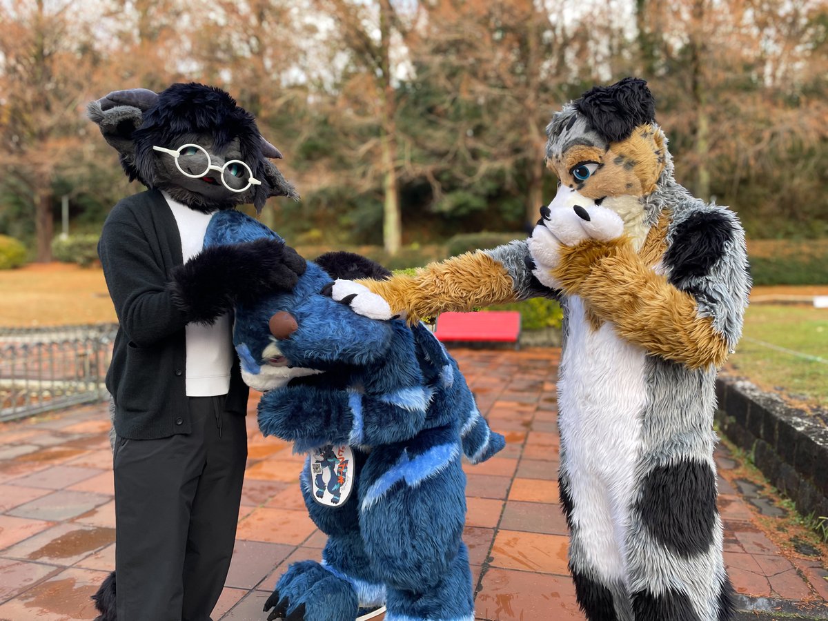 ribaribakun's tweet photo. &@YocoteWoof 📸
#ケモノフォーカス #KemonoFocus https://t.co/spgLFy2CNo