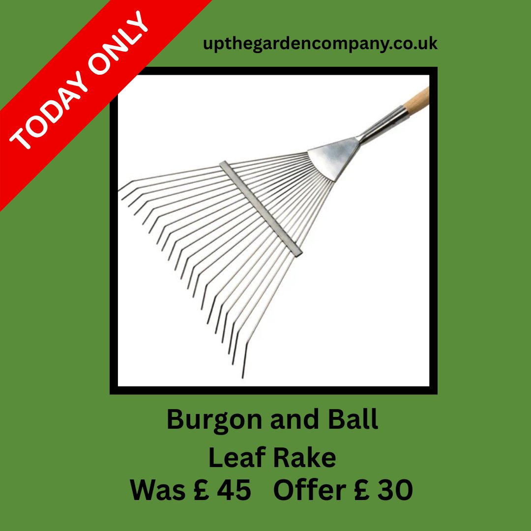 UpTheGardenCo's tweet photo. π Get your garden tidy for the season with the Burgon & Ball Leaf Rake RHS! πΏ
#UpTheGarden #GardenTools #LeafRake #AutumnGarden #GardenLife #GardenCare #GreenThumb #UKGardening #Gardeners #TidyingUp
π https://t.co/tukTRJEMtN https://t.co/Bwlx4Opbyn