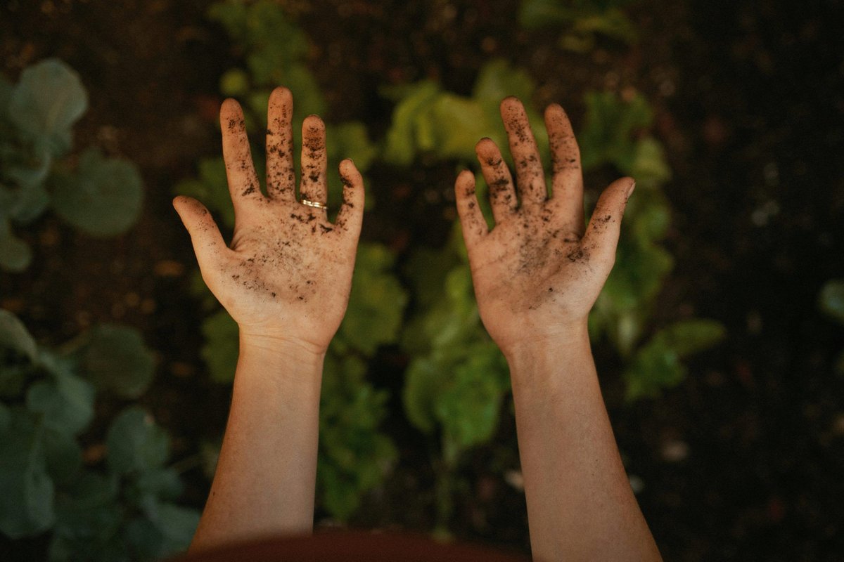 In our latest blog, National Director Phil Lewis invites us to reflect on and share the real and often painful unfinished stories of our lives and ministry, as we hold onto hope for transformation. 

interserve.org.uk/the-messy-midd…